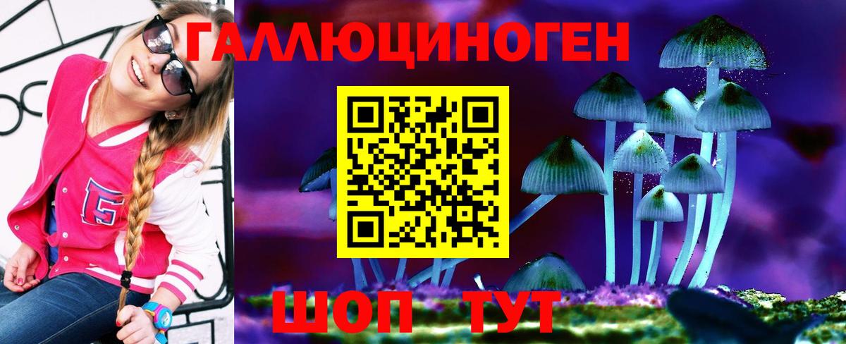 Псилоцибиновые грибы GOLDEN TEACHER Серов