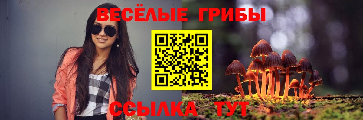 Серов  Галлюциногенные грибы мицелий  Вход с VPN 
